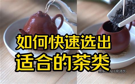 吧要喝茶|新手喝茶必备，基础茶知识